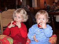 An Apple A Day Keeps The .... Away :-)