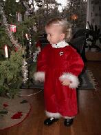 That's Look Like A Nice Ornament To Pick Of The Tree...