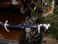 This Is Mine....