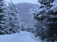 On The Way Back To The Cottage.....
