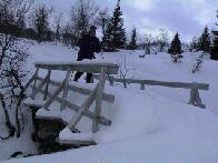 A Solid Frosen River....